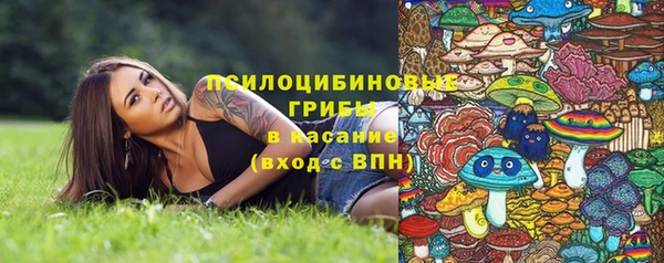 амф Алзамай