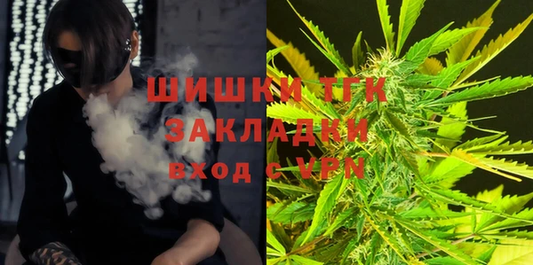 молекула духа Алексеевка
