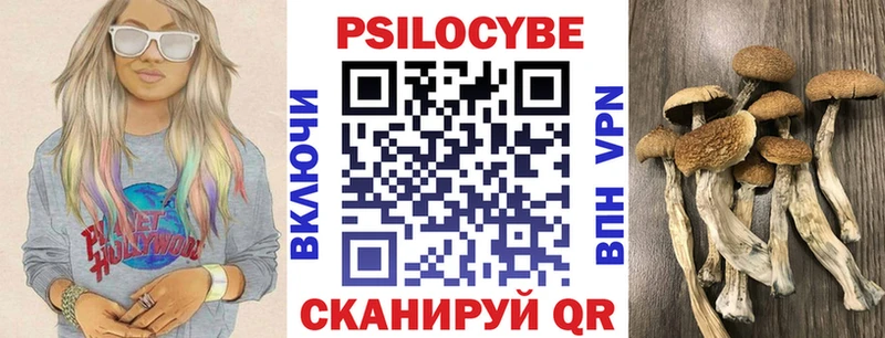 Псилоцибиновые грибы прущие грибы  Мыски 